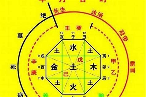 八字五行喜忌|八字喜用神查询